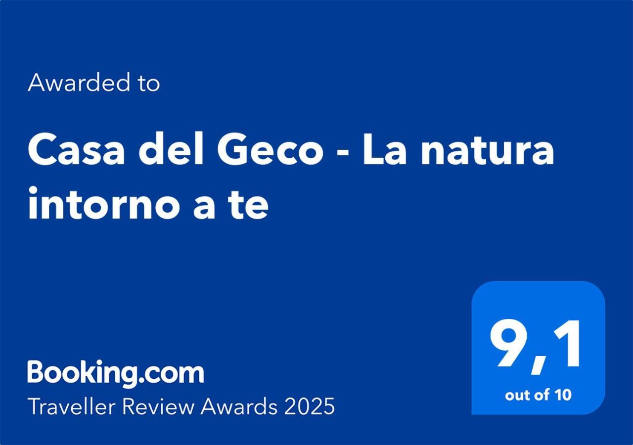 Casa Del Geco - La Natura Intorno A Te Camaiore Exteriér fotografie